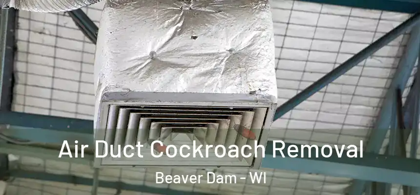 Air Duct Cockroach Removal Beaver Dam - WI