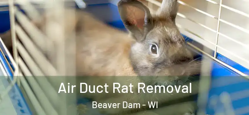  Air Duct Rat Removal Beaver Dam - WI