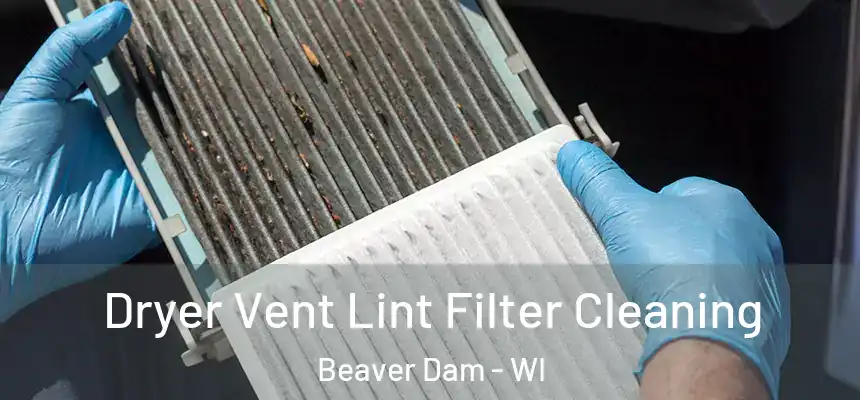  Dryer Vent Lint Filter Cleaning Beaver Dam - WI