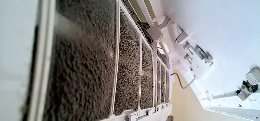 Preventive Air Duct Bacteria Removal in Beaver Dam