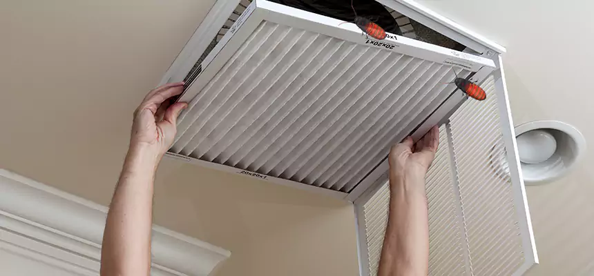 Preventive Cockroach-Proofing for Ducts in Beaver Dam