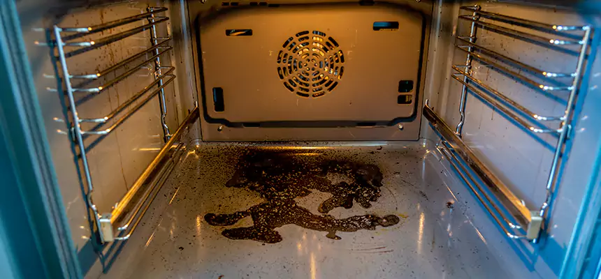 Our Dryer Vent Mold Cleaning Services in Beaver Dam, WI