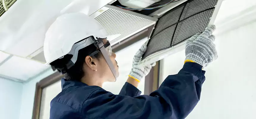 Our Mold & Mildew Removal from Air Ducts Services in Beaver Dam, WI