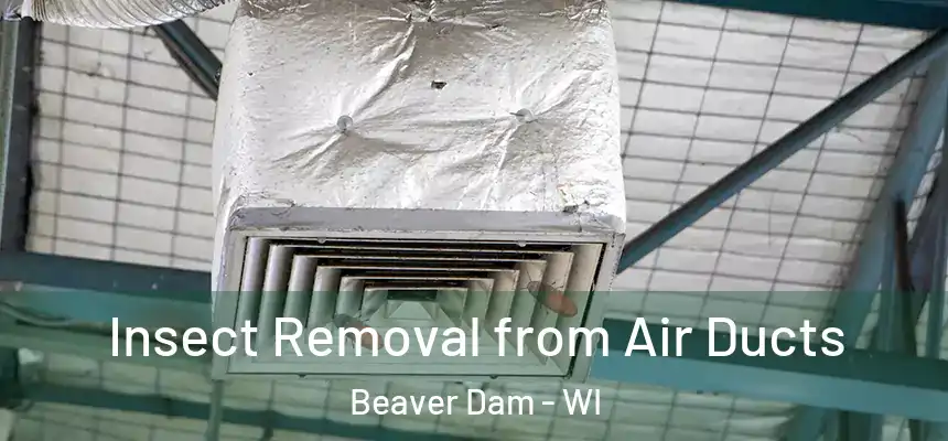  Insect Removal from Air Ducts Beaver Dam - WI