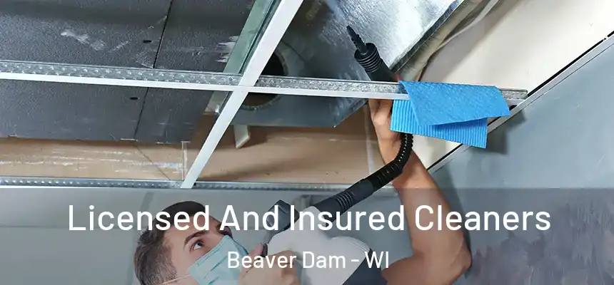  Licensed And Insured Cleaners Beaver Dam - WI