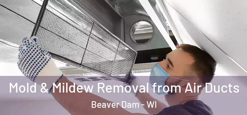  Mold & Mildew Removal from Air Ducts Beaver Dam - WI