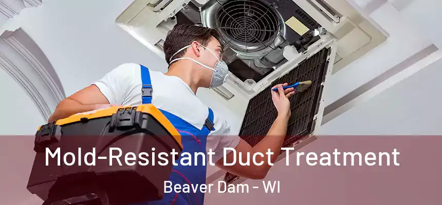  Mold-Resistant Duct Treatment Beaver Dam - WI