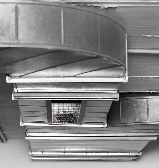 Professional Air Duct Pet Hair Removal in Beaver Dam, WI