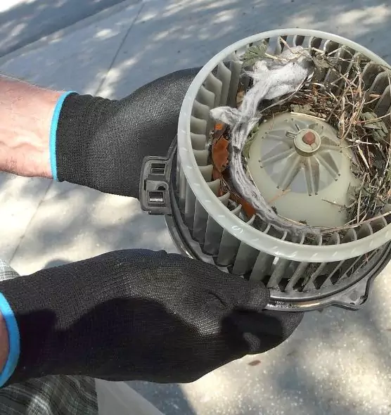 About Air Duct Rat Removal in Beaver Dam, WI