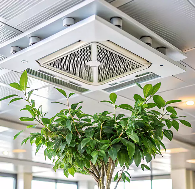 Why Homeowners & Businesses Trust Us in Beaver Dam, WI